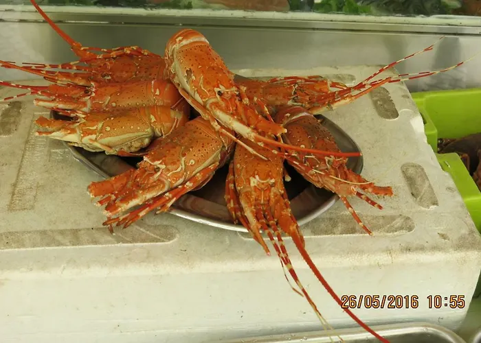 Апартаменты Oly *