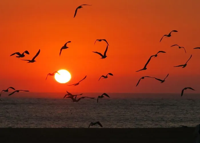 Апартаменты Oly